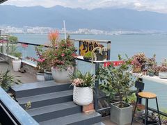 -野菌皇海景野生菌火锅(滨海大道店)