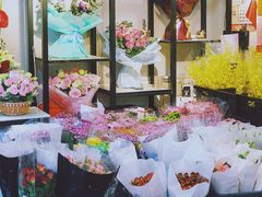 -溪岸路花鸟市场