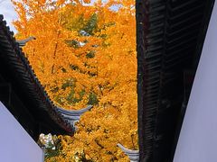 -西园戒幢律寺
