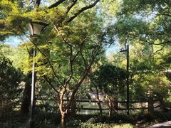-亭林公园