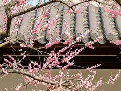 -德克士(北大街店)