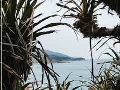 -西涌国际滨海旅游区