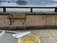 -千岛湖东南湖区