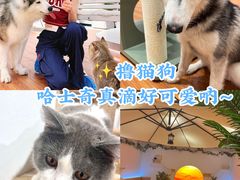 -东门町美食街