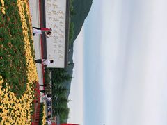 -江心岛