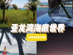 -亚龙湾海底世界