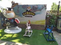 -柴犬高等学院·狗咖·柴犬售卖·宠物训练