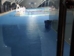 -浙江工业大学（朝晖校区）-游泳馆
