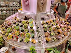 -KKV(深圳kk one 店)