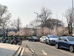-家乐福(四元桥购物中心店)