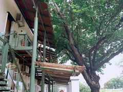 -喜洲吧·江畔老船厂·庭院餐厅(喜临院店)