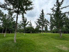 -眉山湿地公园(东坡区)