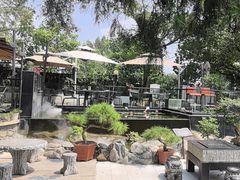 -蘇河湾·新鲁菜·泰山宴(泰山店)