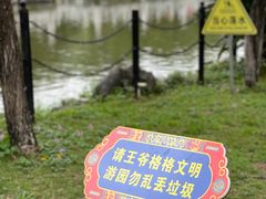 -珠海圆明新园