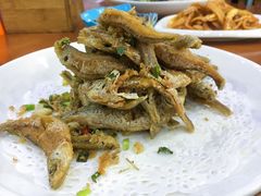 -全乐鱼馆·淳牌有机鱼直营店