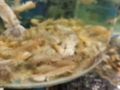-鑫渔港海鲜本地菜·山海关浑锅(东戴河店)