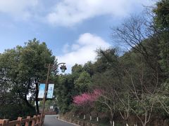 -杭州半山国家森林公园