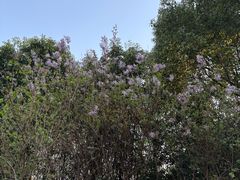 -白塘生态植物园