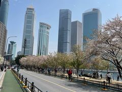 -西北湖绿化广场