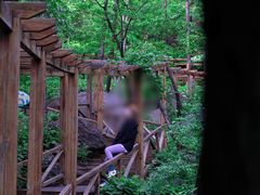 -大岭沟猕猴桃谷风景区