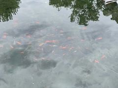 -水磨沟公园