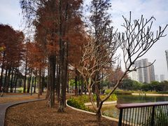 -四海公园(南山区)