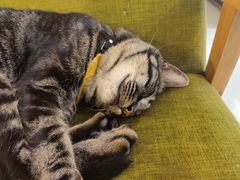 -唐咖精品咖啡(大理古城手冲店)