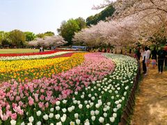 -苏州上方山国家森林公园