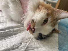-美迦爱-牙专科·兔科·骨科诊疗中心(北苑店)