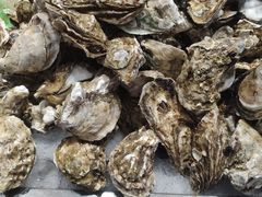 -半岛听涛蒸汽海鲜自助(K11店)