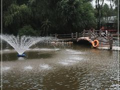 -大鹅岛绿色生态美食园