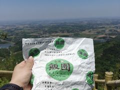 -冶父山国家森林公园