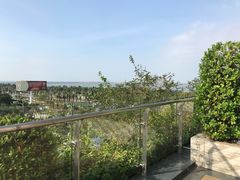 -欢乐海岸美食联盟