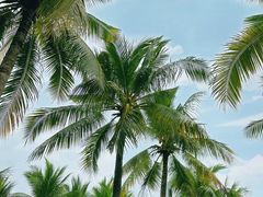 -三亚西岛海洋文化旅游区