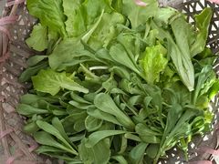 -马陆小张葡萄园农家乐