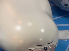 -海合安青岛极地海洋公园