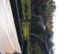 -武清南湖绿博园