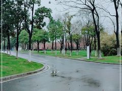 -暨阳湖生态园