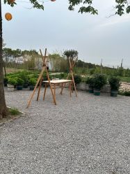 -DORA kids 朵拉儿童摄影花园店