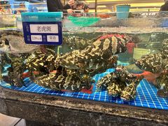 -东海怡品海鲜豆捞(舟宿夜江店)