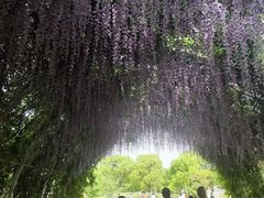 -同里国家湿地公园