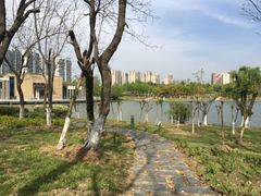 -白塘生态植物园