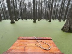 -渌洋湖湿地公园