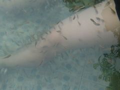 android_upload_pic-天赐温泉
