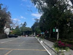 -广州市流溪河国家森林公园