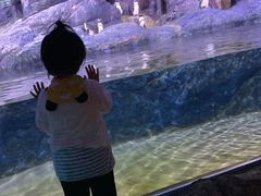 -暹罗海洋世界