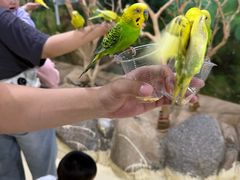 -大连圣亚海洋世界