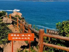 -杨梅坑