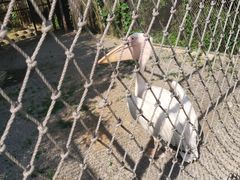 -兰陵国家农业公园