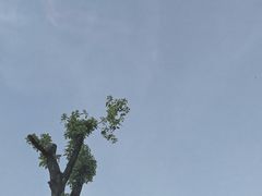 -陈家山荷花公园